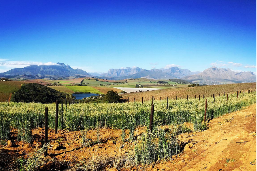 Simonsberg MTB Trail Network